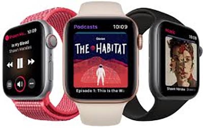 Ремонт Apple Watch